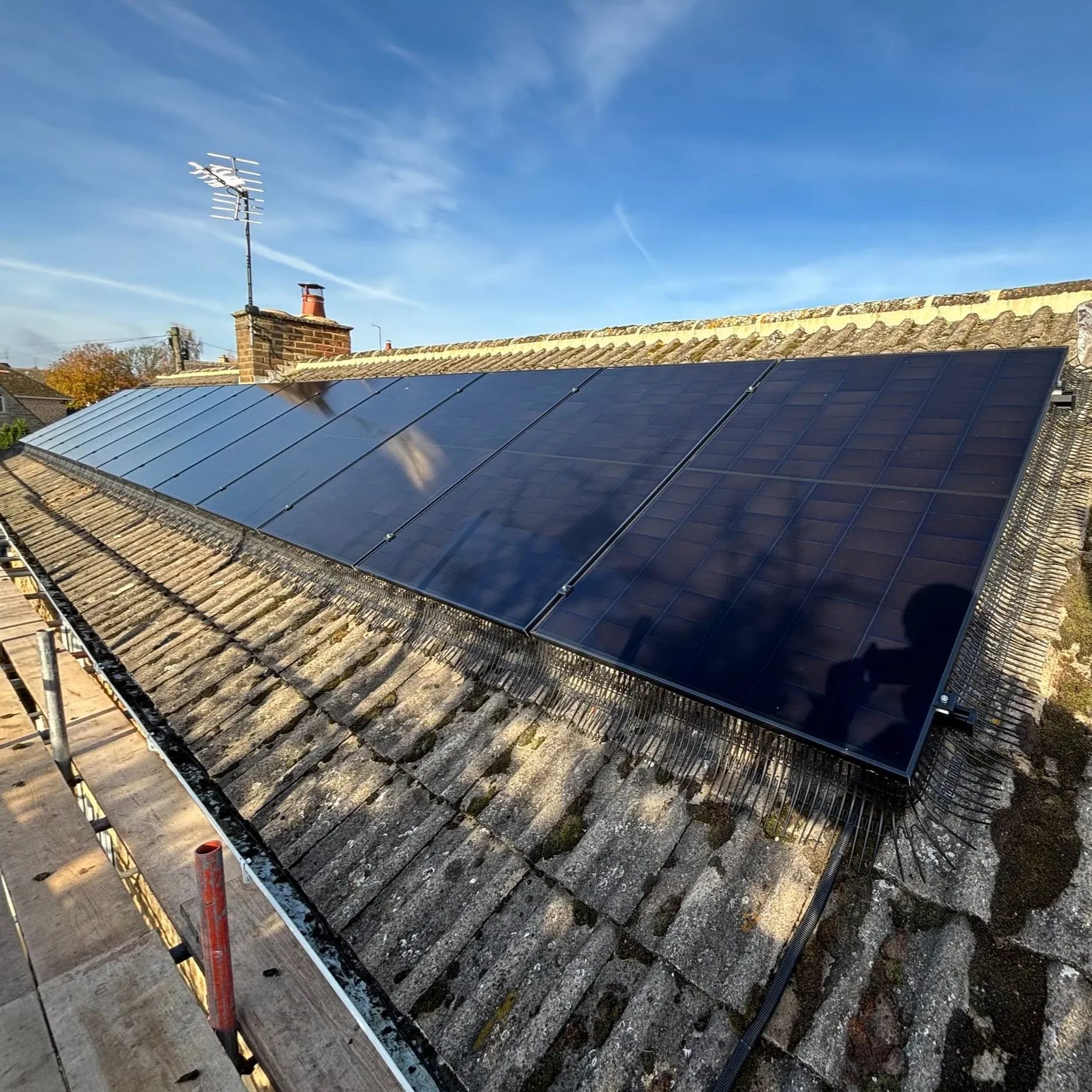 A long row of black panels on a moss-streaked concrete-tile roof, bird mesh along its edge